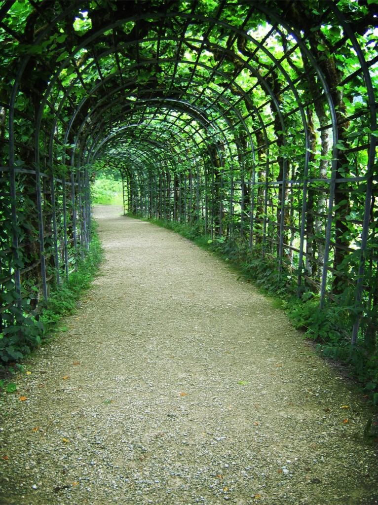The 4 Deadliest Practice Mistakes Ever The 4 Deadliest Practice Mistakes Ever
